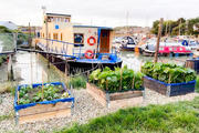 Outstanding Houseboat in Newhaven - Persevere1